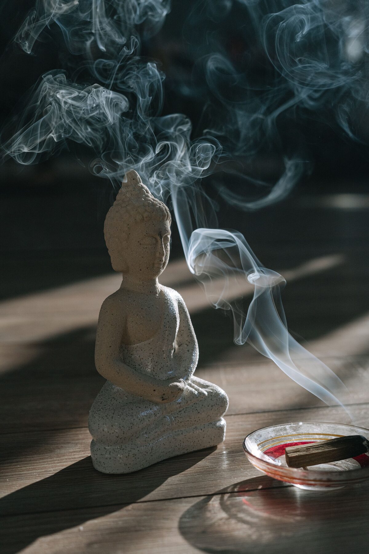 Comparación de copal en vara y palo santo en astillas